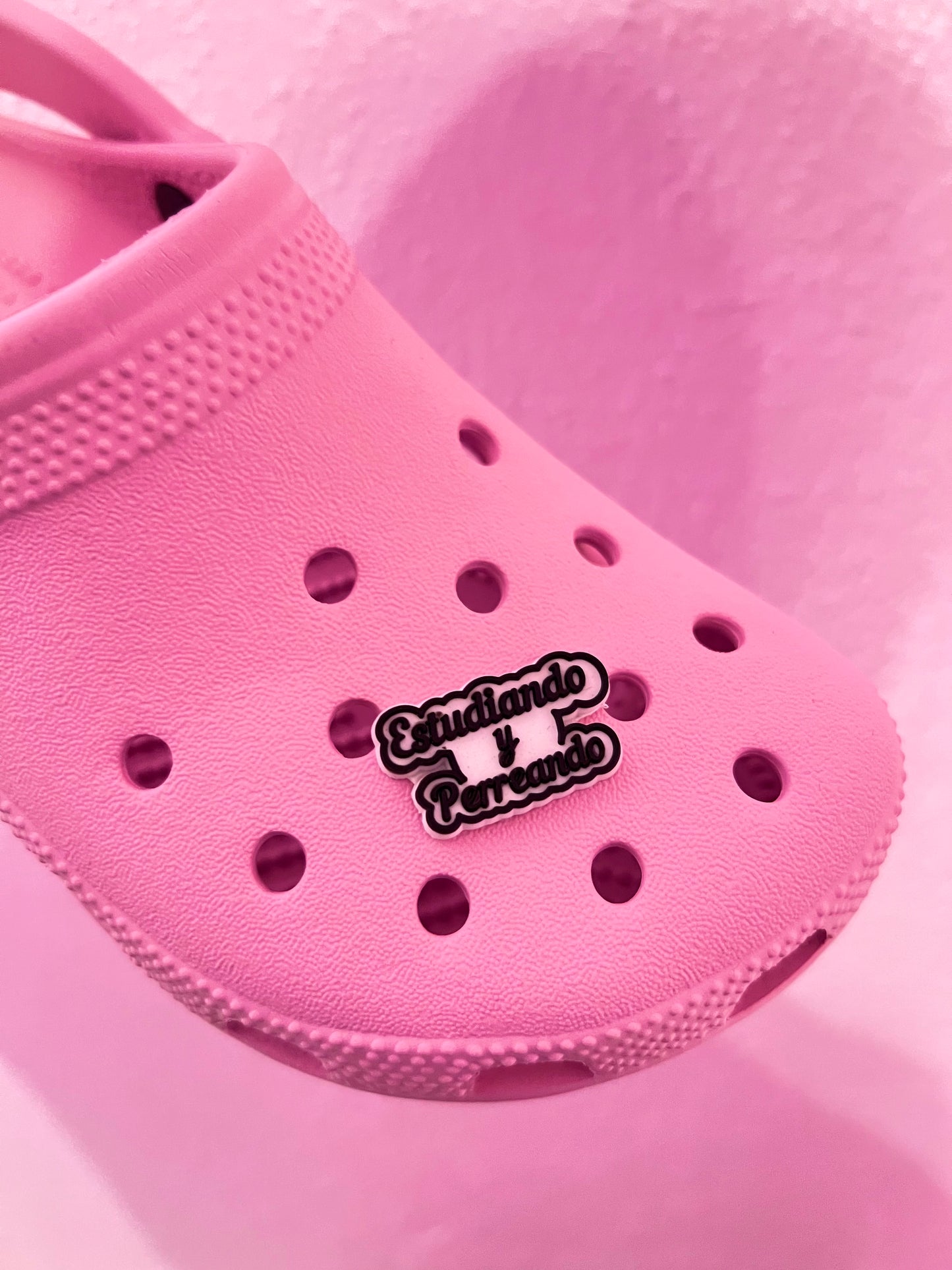 Estudiando Y Perreando